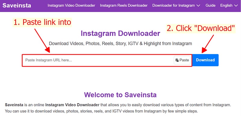 paste instagram link to saveinsta