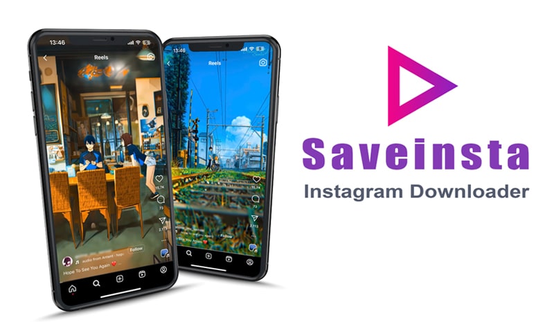 SaveVids - Instagram Downloader